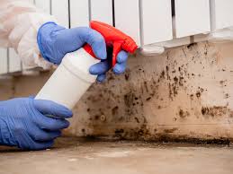 Best Biohazard Mold Removal  in Elroy, NC